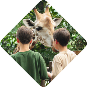 kaleshsafariandtouruganda.com