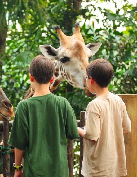 kaleshsafariandtouruganda.com