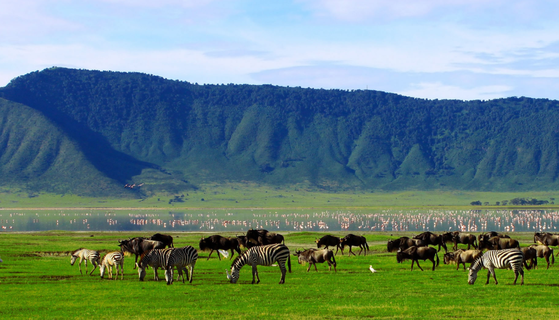 Ngorongoro Crater wildlife safari on a multi country African adventure.