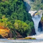 7-day Uganda grand tour featuring Murchison Falls National Park