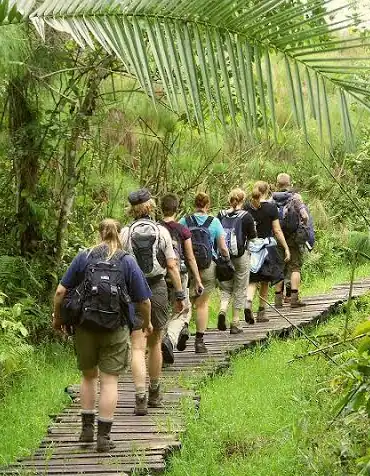 kaleshsafariandtouruganda.com
