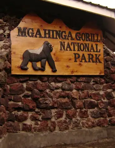 kaleshsafariandtouruganda.com