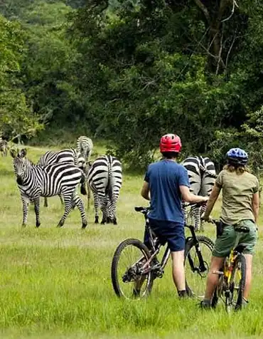 kaleshsafariandtouruganda.com
