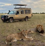 Queen Elizabeth National Park Uganda with elephants and savannah landscapes on a 5 day Uganda safari itinerary.