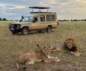 Queen Elizabeth National Park Uganda with elephants and savannah landscapes on a 5 day Uganda safari itinerary.