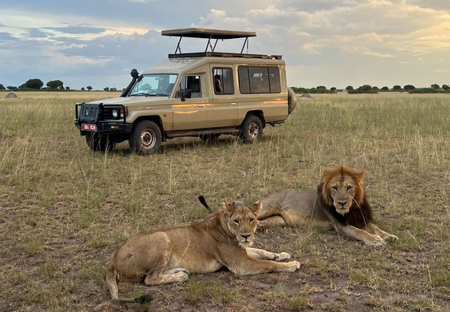 Queen Elizabeth National Park Uganda with elephants and savannah landscapes on a 5 day Uganda safari itinerary.