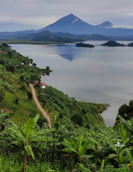 kaleshsafariandtouruganda.com