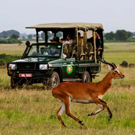 kaleshsafariandtouruganda.com