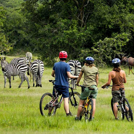 kaleshsafariandtouruganda.com