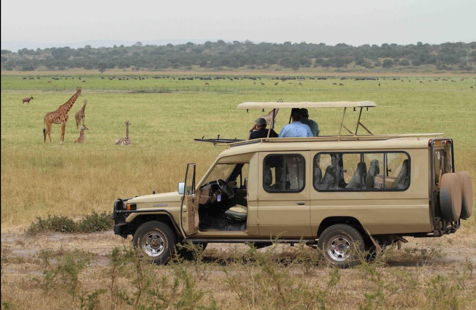 Tourists enjoying a wildlife game drive in Uganda’s national park, spotting elephants, giraffes and other African animals.