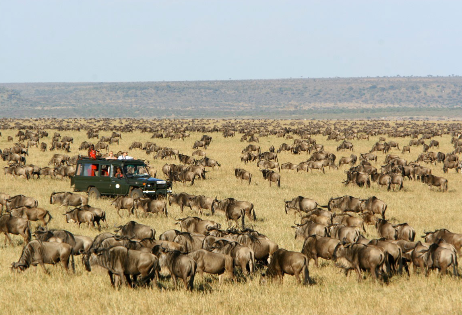 African adventure safari in Kenya's Maasai Mara National Reserve