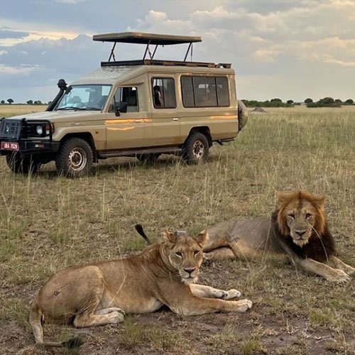 kaleshsafariandtouruganda.com