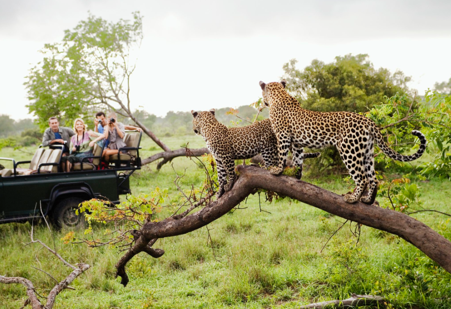 4-day African adventure featuring wildlife viewing in Serengeti National Park, Tanzania.